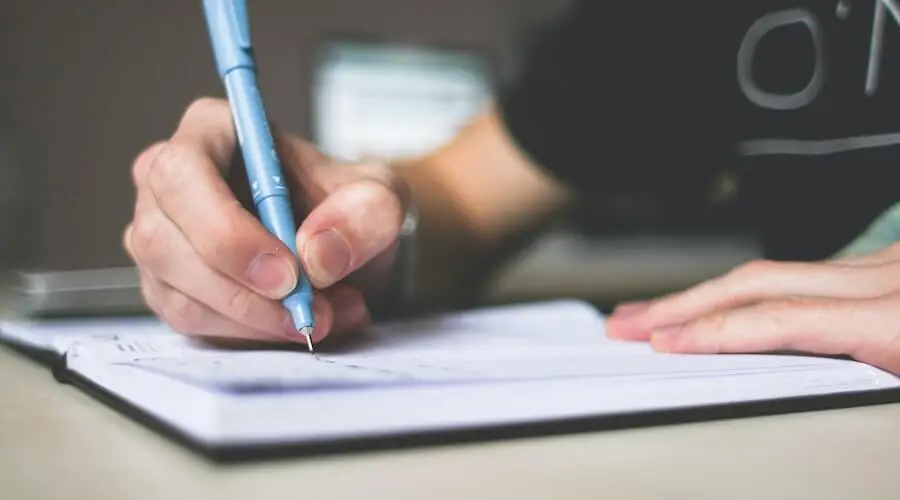Professional 'Write My Argumentative Essay' Services by Custom Writing Bee
