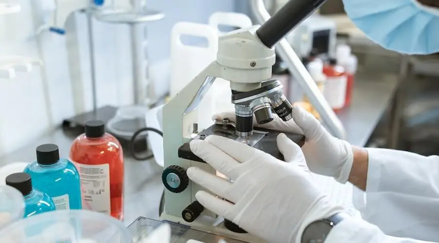 image/illustration representing the service 'Mastering Biostatistics: Why Biostatistics Homework Help is Essential for Medical Research Students'